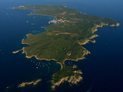 fondation Carmignac Porquerolles